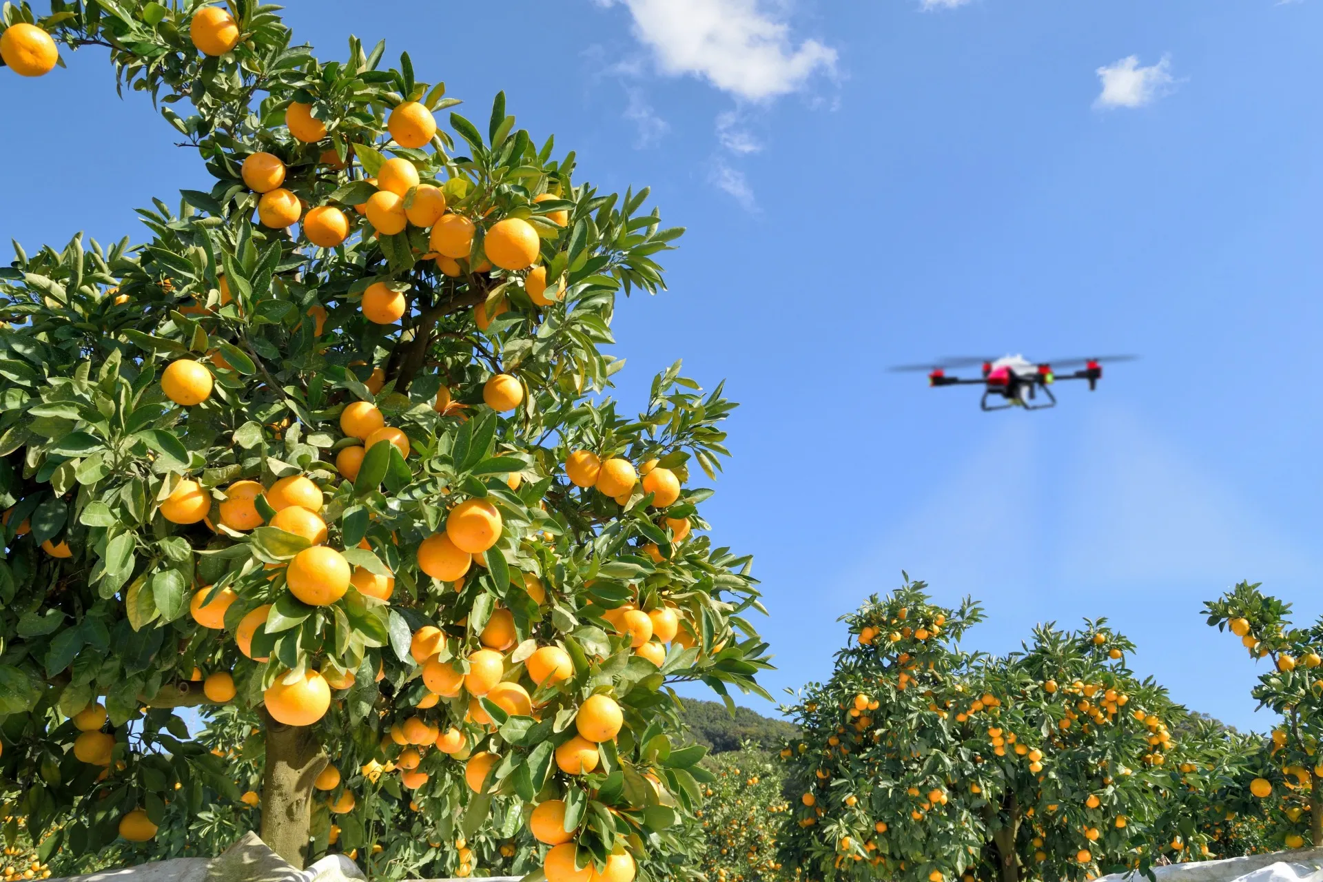 【和歌山】農業用ドローン『P40』合同会社寺田