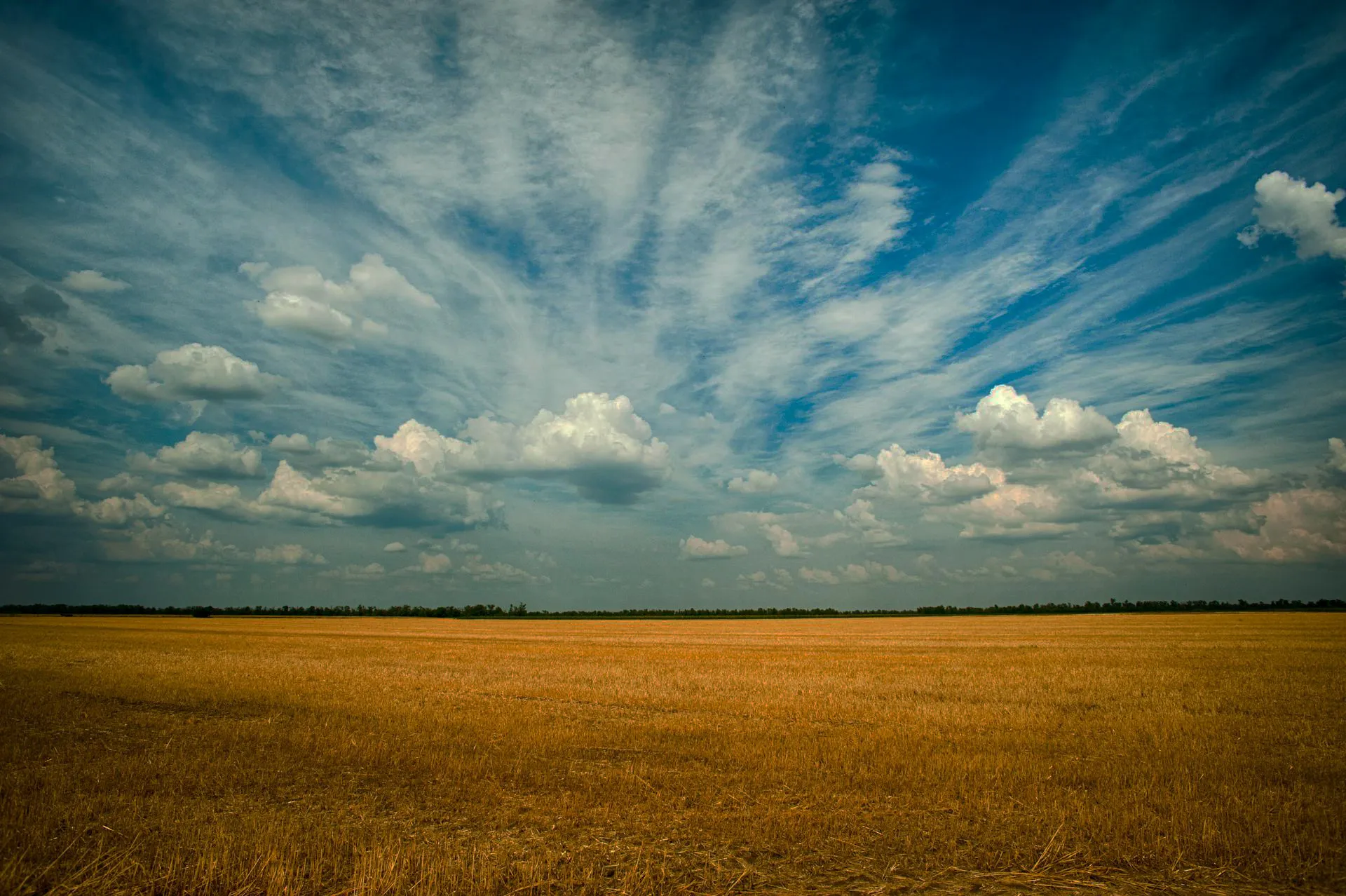 先端技術を農業に